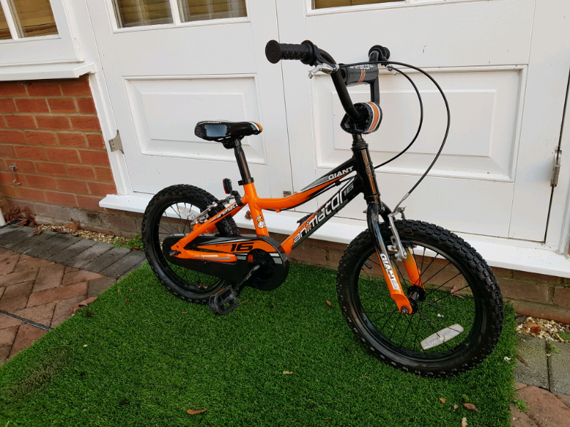 giant animator bike 16